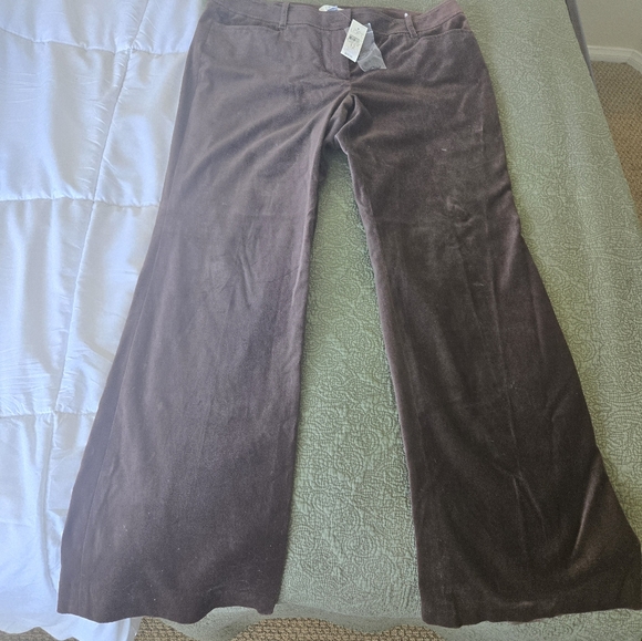 Ann Taylor LOFT size 12 marissa brown velveteen pant New with tag. - Picture 7 of 8